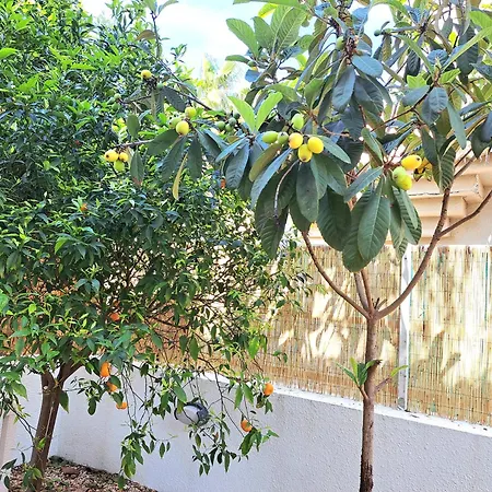 Kappari Blue Villa, 5 Min Walk From The Sea * Paralimni